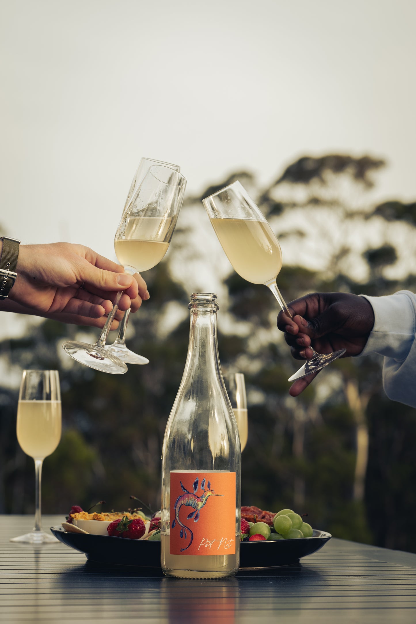 2023 Pet Nat, Small Island Wines Tasmania