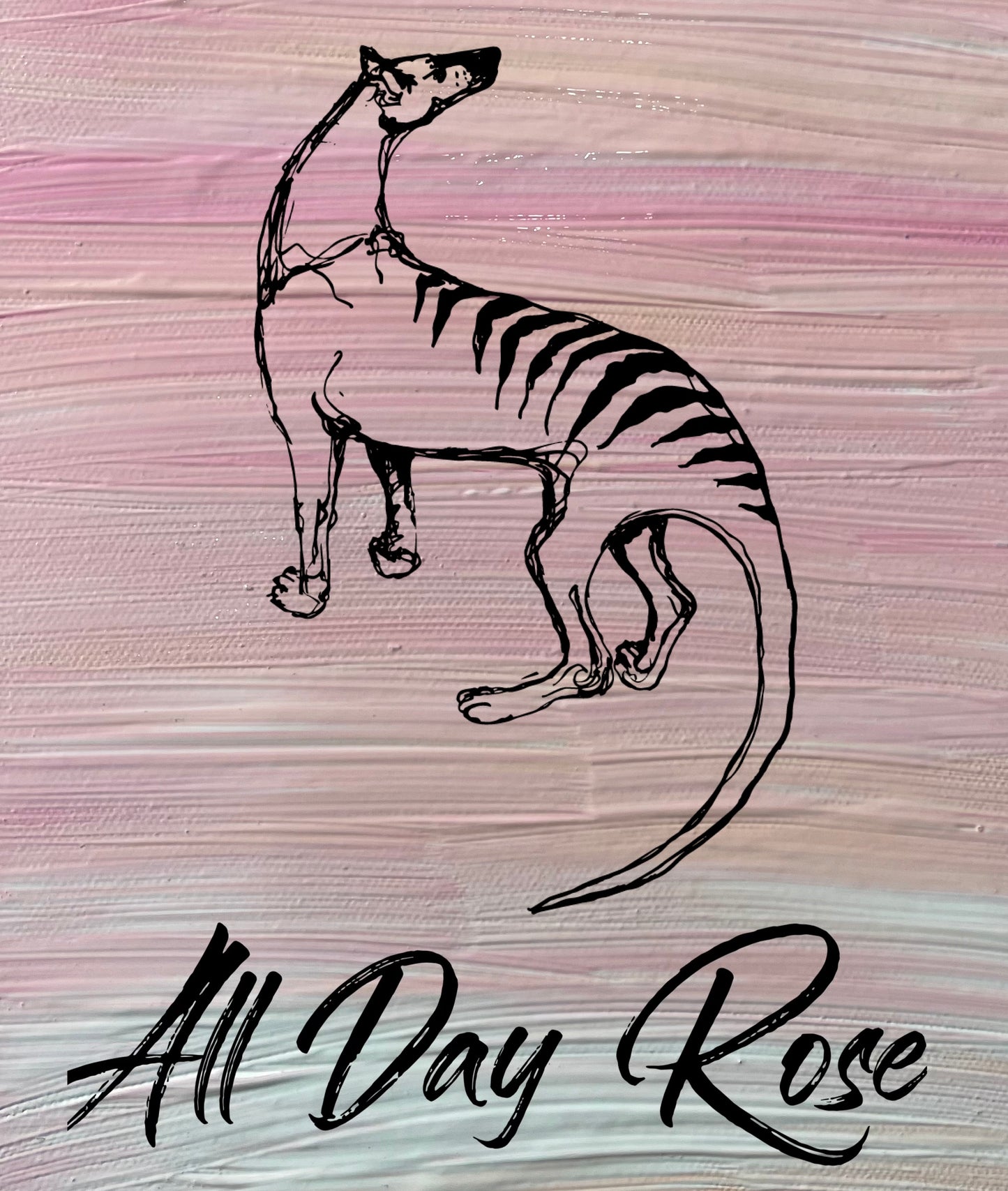 2025 Small Island All Day Rose, Tasmania