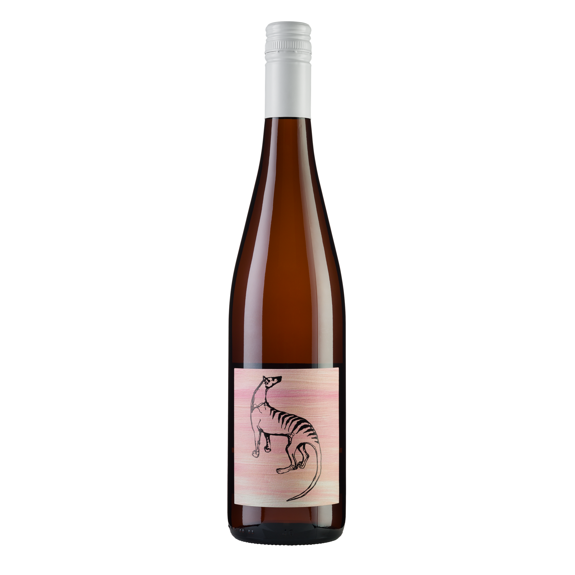 2025 Small Island All Day Rose, Tasmania