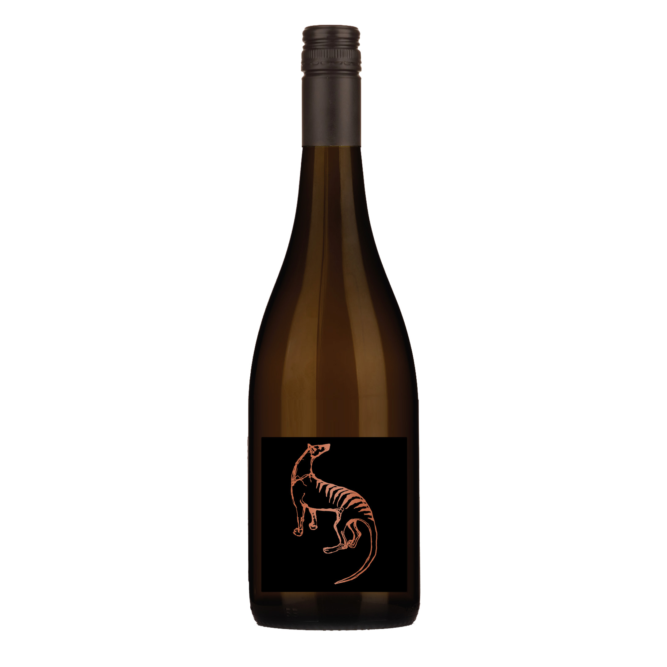 6 Pack Special - 2025 Pinot Noir
