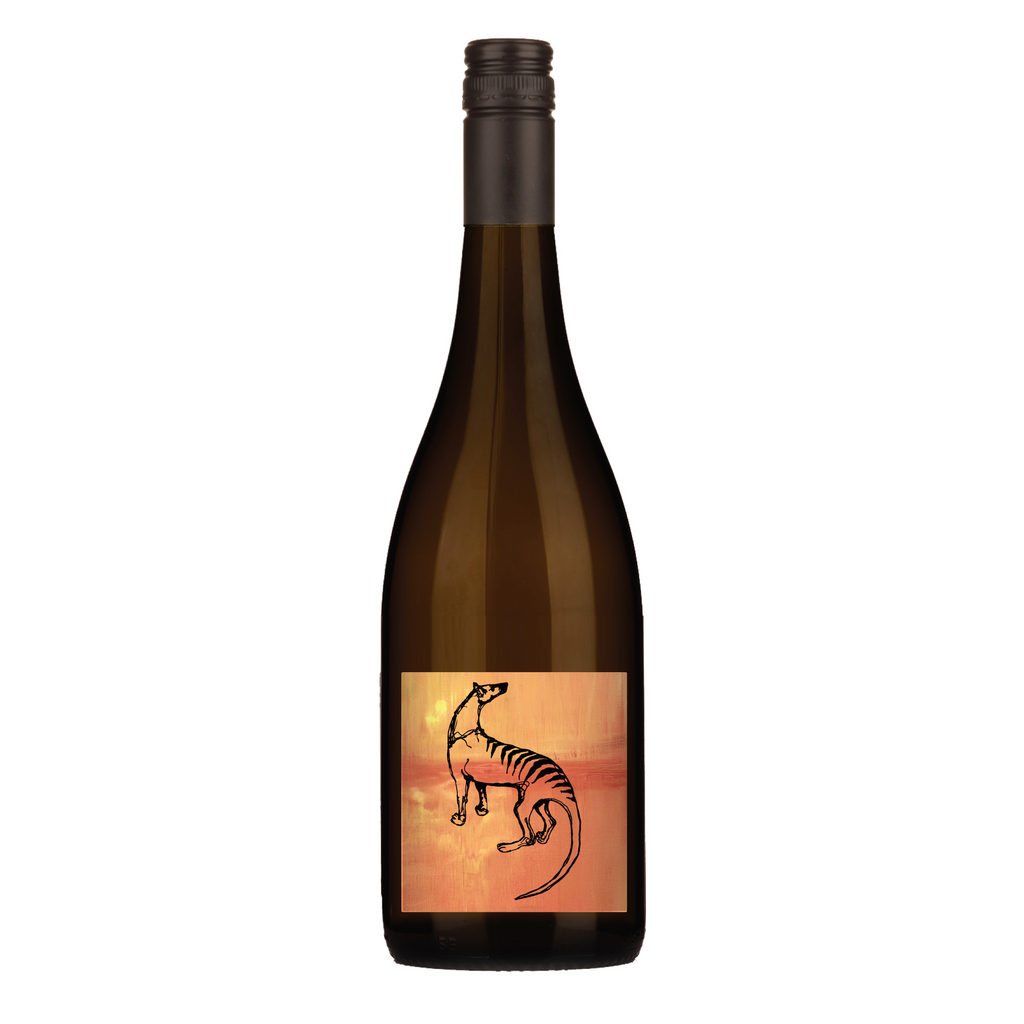 6 Pack Special - 2025 Pinot Noir